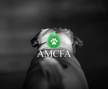 ACMFA